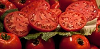 В Украине цены на помидоры выше, чем в Европе: аграрии назвали причину   - today.ua