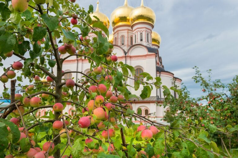 Свято 28 липня: що віруючі просять у Святого Володимира, і чому цього дня сняться кошмари  - today.ua