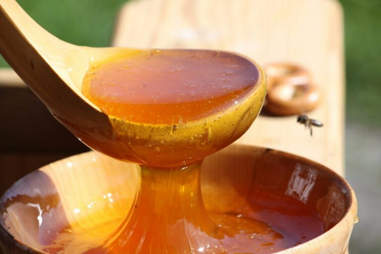 В Украине массово вымирают пчелы: цены на мед будут расти - today.ua