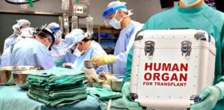 Уряд затвердив тарифи на трансплантацію органів: суми вражають - today.ua