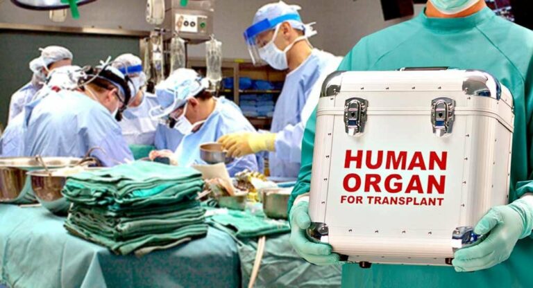 Правительство утвердило тарифы на трансплантацию органов: суммы впечатляют - today.ua