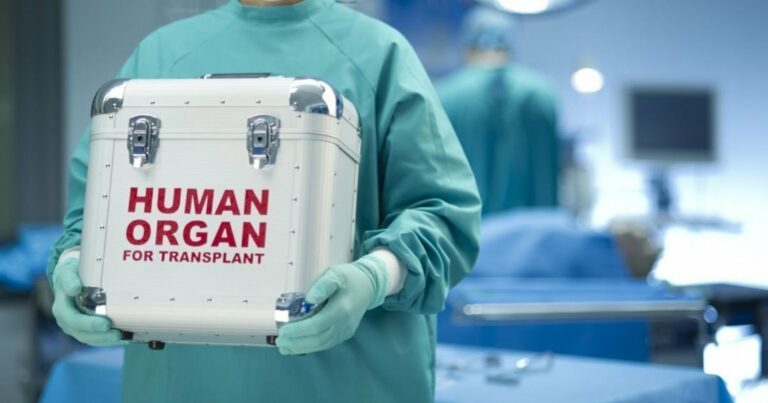 Будут изымать глаза, сердца и почки: за два года в Украине начнет работать программа трансплантации органов - today.ua