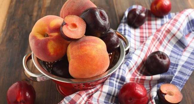 Сливи і персики можна їсти не всім: медики розповіли про шкідливі властивості фруктів  - today.ua