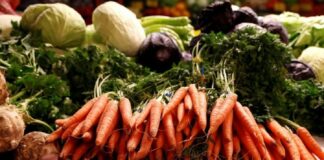 В Украине ожидается катастрофическое подорожание овощей и фруктов – экономический прогноз - today.ua