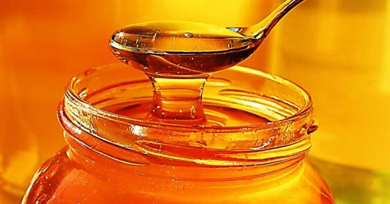 Як вибрати якісний мед на ринку: простий метод, який треба знати кожному - today.ua