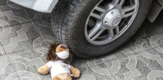 ДТП под Львовом: водитель трижды переехал 4-летнего ребенка на самокате    - today.ua
