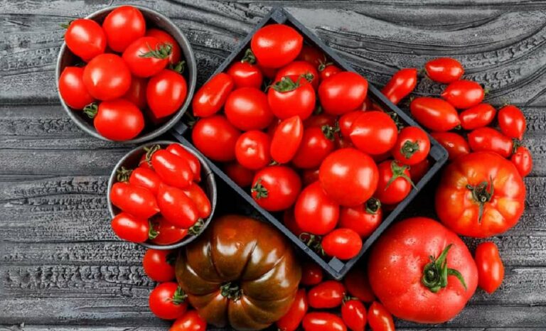 Помидоры на зиму без воды и уксуса: новый рецепт консервирования томатов - today.ua