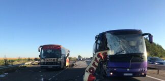Трагічна ДТП на нічній дорозі: в Кіровоградській області зіткнулися два автобуси - today.ua