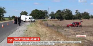 Трагедия под Скадовском: женщина-водитель лишилась в ДТП всей своей семьи  - today.ua