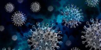 Смертельно небезпечний індійський штам коронавірусу випущений в океан: розкрилася страшна правда - today.ua