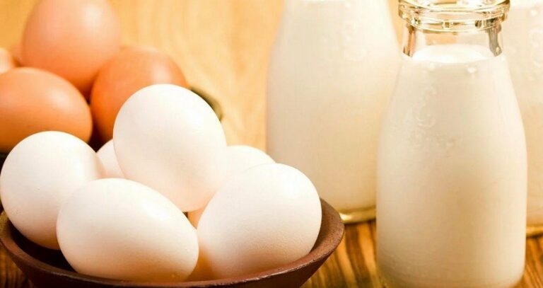 В Україні назріває дефіцит молока та яєць: що відомо - today.ua