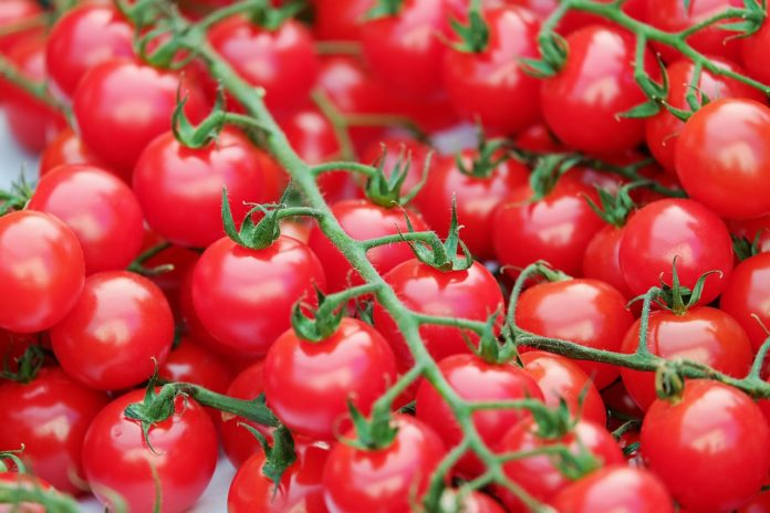В Україні різко дешевшають помідори: названа причина