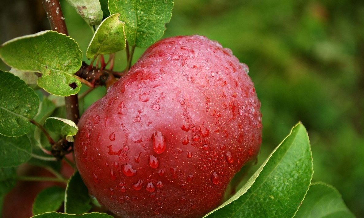 Аномальная жара спадет, на ряд областей обрушатся дожди с грозами: подробный прогноз на длинные выходные