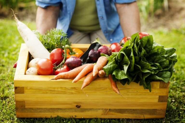 Названы фрукты и овощи, которые спасут от осенней депрессии   - today.ua