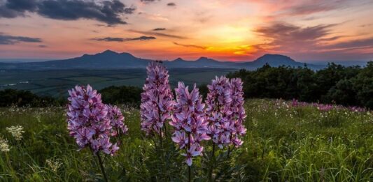 Праздник 17 сентября: день Неопалимой Купины – защитницы от пожаров, бедствий и ударов молнии - today.ua