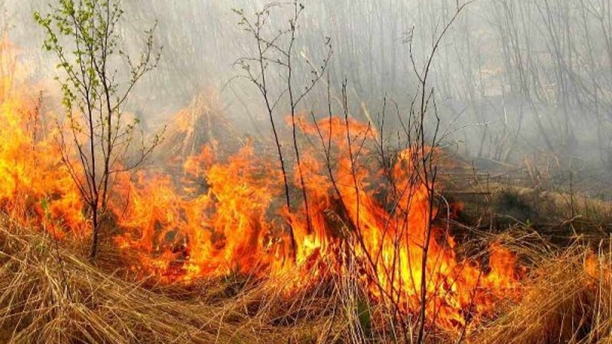 В Україні ввели нові штрафи, які торкнуться всіх: за що доведеться заплатити 10 000 гривень