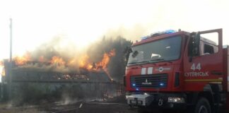 Лісові пожежі в Україні: на Харківщині оголосили НС, а на Луганщині збільшилася кількість жертв - today.ua