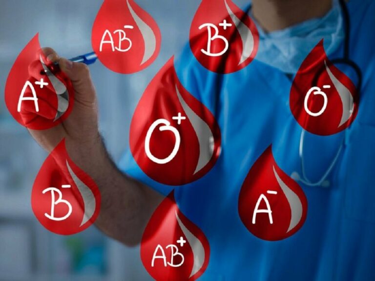 Найсильніша група крові, яка захищає від хвороб і дарує довголіття: дослідження вчених - today.ua