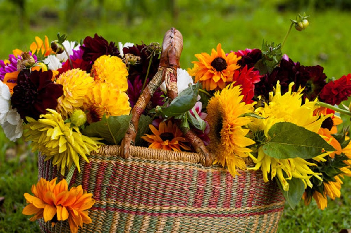 Праздник 25 сентября: в день Автонома внимательно следили за змеями