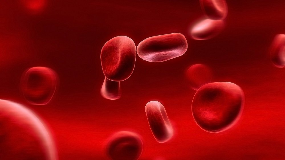 Самая сильная группа крови, которая защищает от болезней и дарит долголетие: исследование ученых