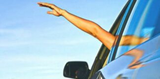 Что делать, если попутный водитель взмахивает рукой и резко указывает на обочину? - today.ua