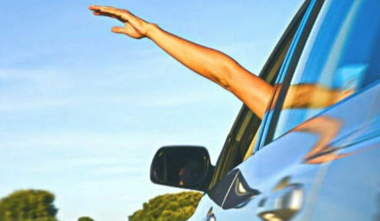 Что делать, если попутный водитель взмахивает рукой и резко указывает на обочину? - today.ua