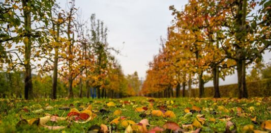 Аномальный октябрь: синоптики рассказали, чем удивит погода украинцев в середине осени - today.ua