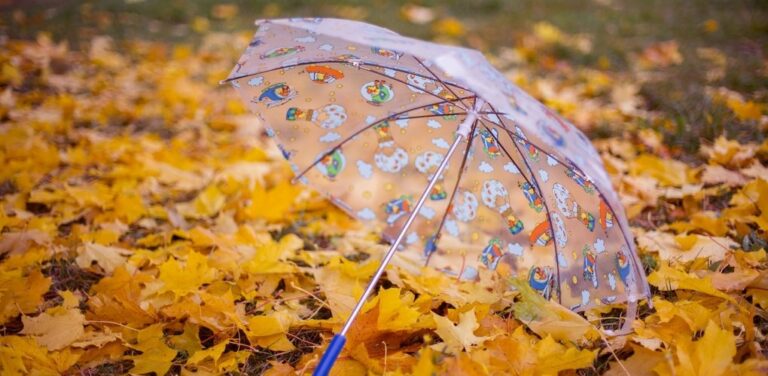 Різке похолодання, дощі та грози: синоптики розповіли про погоду на другу половину вересня - today.ua