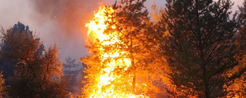 На Донбасі під час гасіння пожежі загадково зникли два українських бійця: що кажуть у штабі ООС