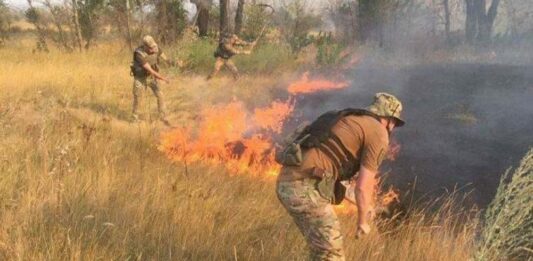 Стала відома доля двох військових, які зникли під час пожежі в зоні ООС: потрапили на мінне поле - today.ua