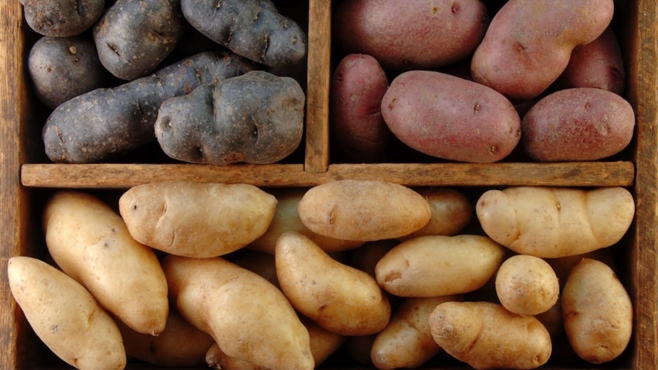 Цены на картошку в  упали: аграрии назвали причины - Today