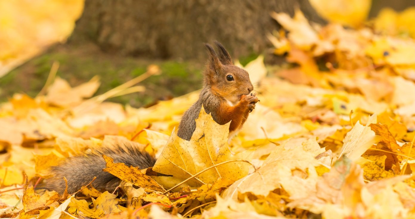 Праздник 15 октября: на Киприяна и Иустину следует избавиться от старых вещей