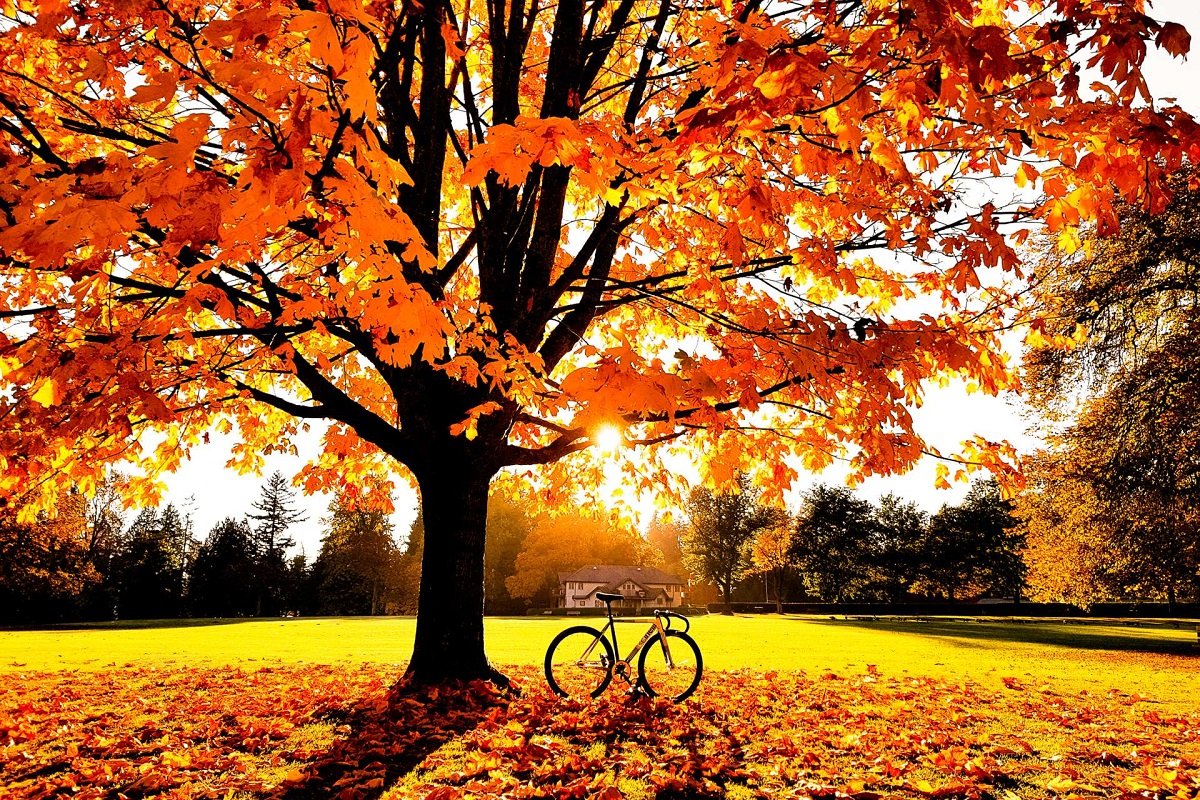 Праздник 3 октября: в день Астафия Ветряка исполняются все желания