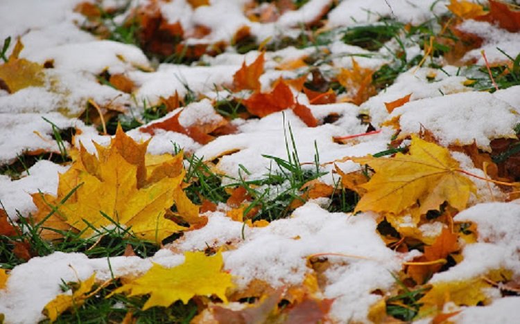 В Україну йде сильне похолодання: синоптики прогнозують перший сніг і заморозки