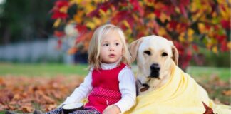 ТОП-4 найкращих порід собак для дітей - today.ua