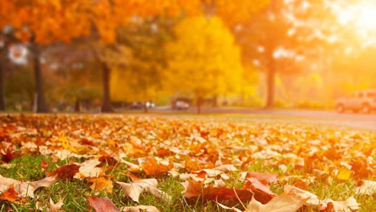 В Україну йде різке потепління: прогноз погоди від Наталки Діденко - today.ua