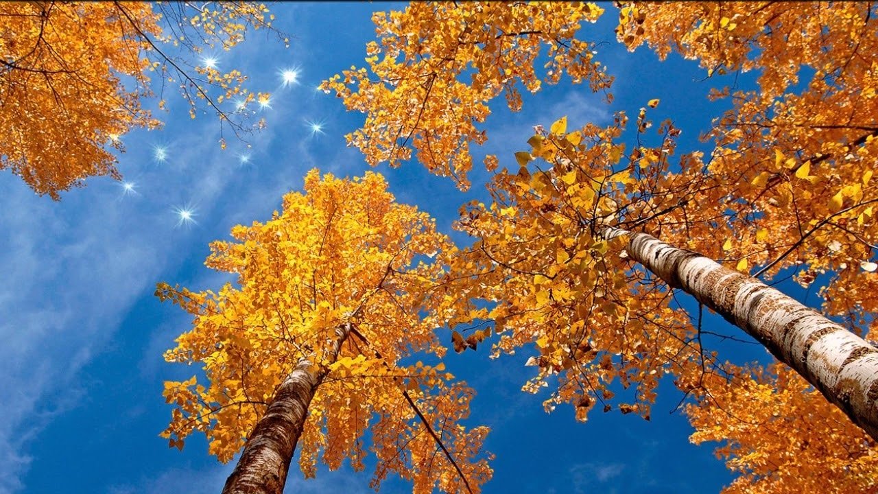 Праздник 21 октября: в день Трифона и Пелагии готовились к холодам