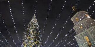 Новый год на карантине: главную елку начнут монтировать с ноября, но праздника не будет - today.ua