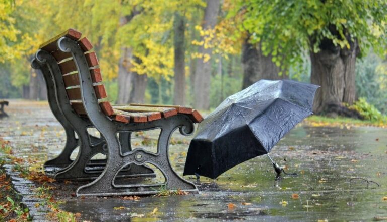 В Украину возвращаются дожди: прогноз погоды на выходные огорчил жителей страны - today.ua