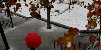 Прогноз погоди на листопад 2020 від народного синоптика Володимира Деркача: дощі, бабине літо і сніг - today.ua