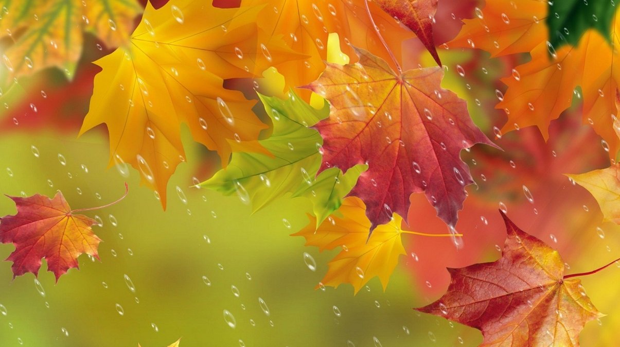 На Украину обрушатся дожди: прогноз погоды на первые дни ноября 2020 от Укргидрометцентра