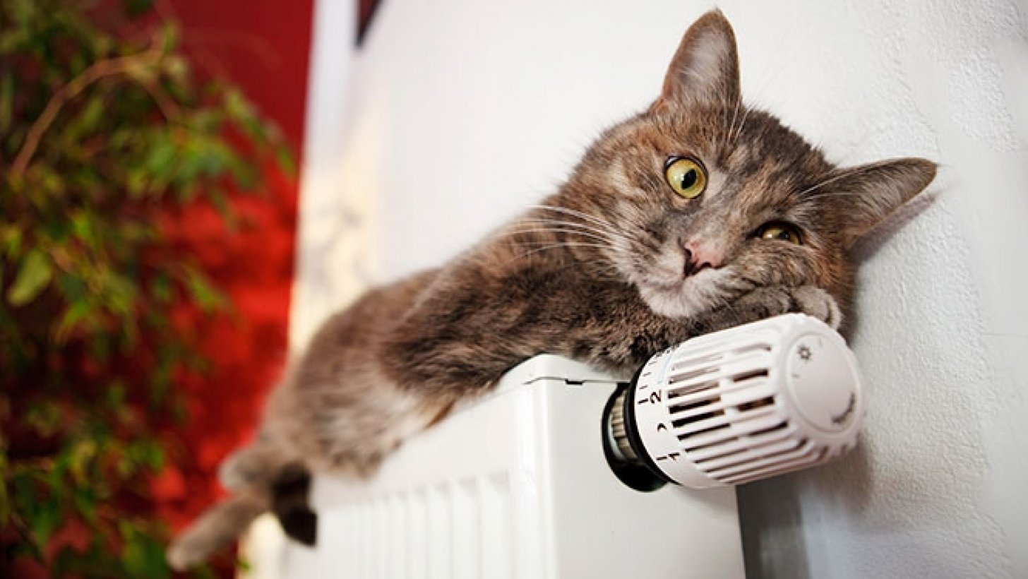 Когда в Украине стартует отопительный сезон: появилось заявление от местных властей