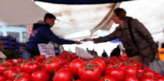 В Україні рекордно подорожчали помідори: аграрії назвали причини - today.ua