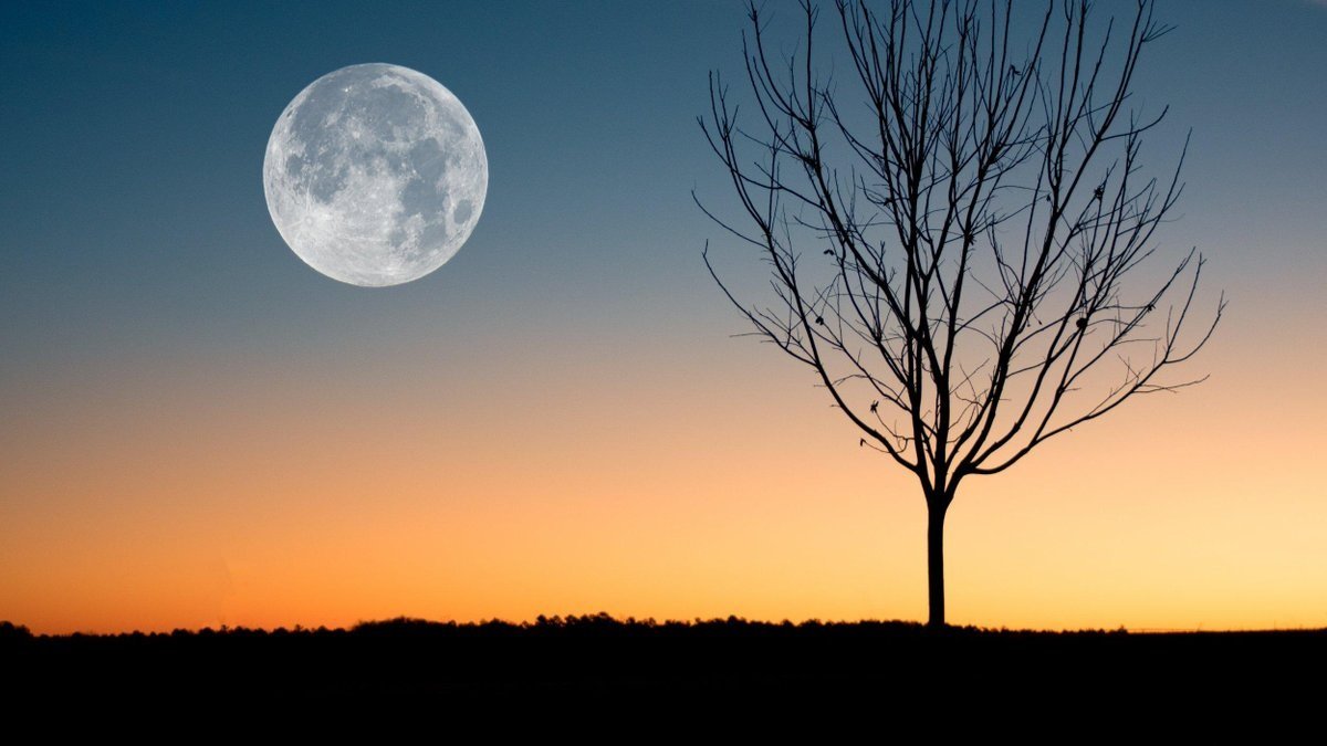 Голубая Луна 2020: когда произойдет и что с собой принесет второе полнолуние октября