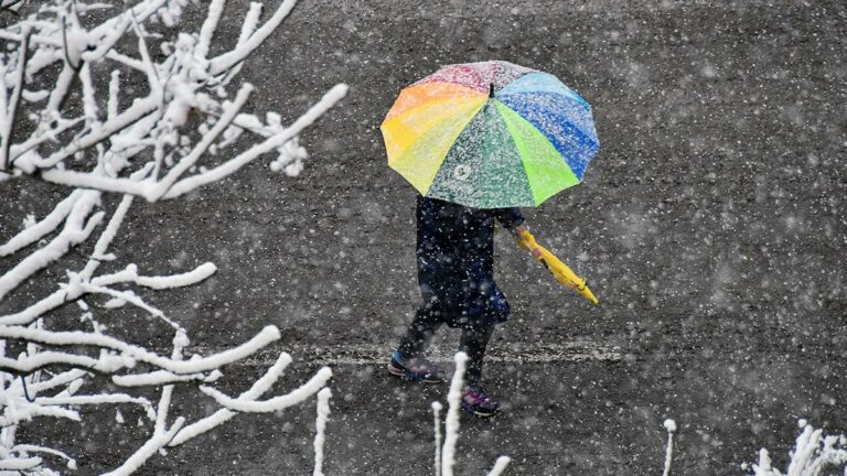 Когда в Украине выпадет снег и ударят первые морозы: синоптики рассказали о погоде на ноябрь  - today.ua