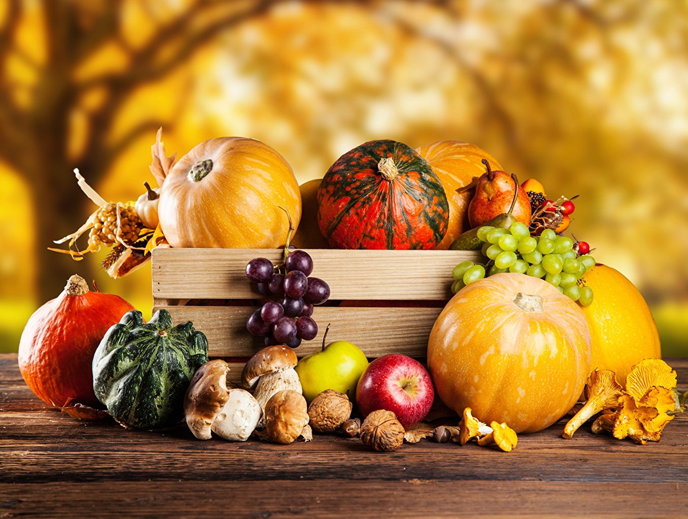 Праздник 6 октября: что категорически нельзя делать в день Ираиды Спорной, чтобы не привлечь беду