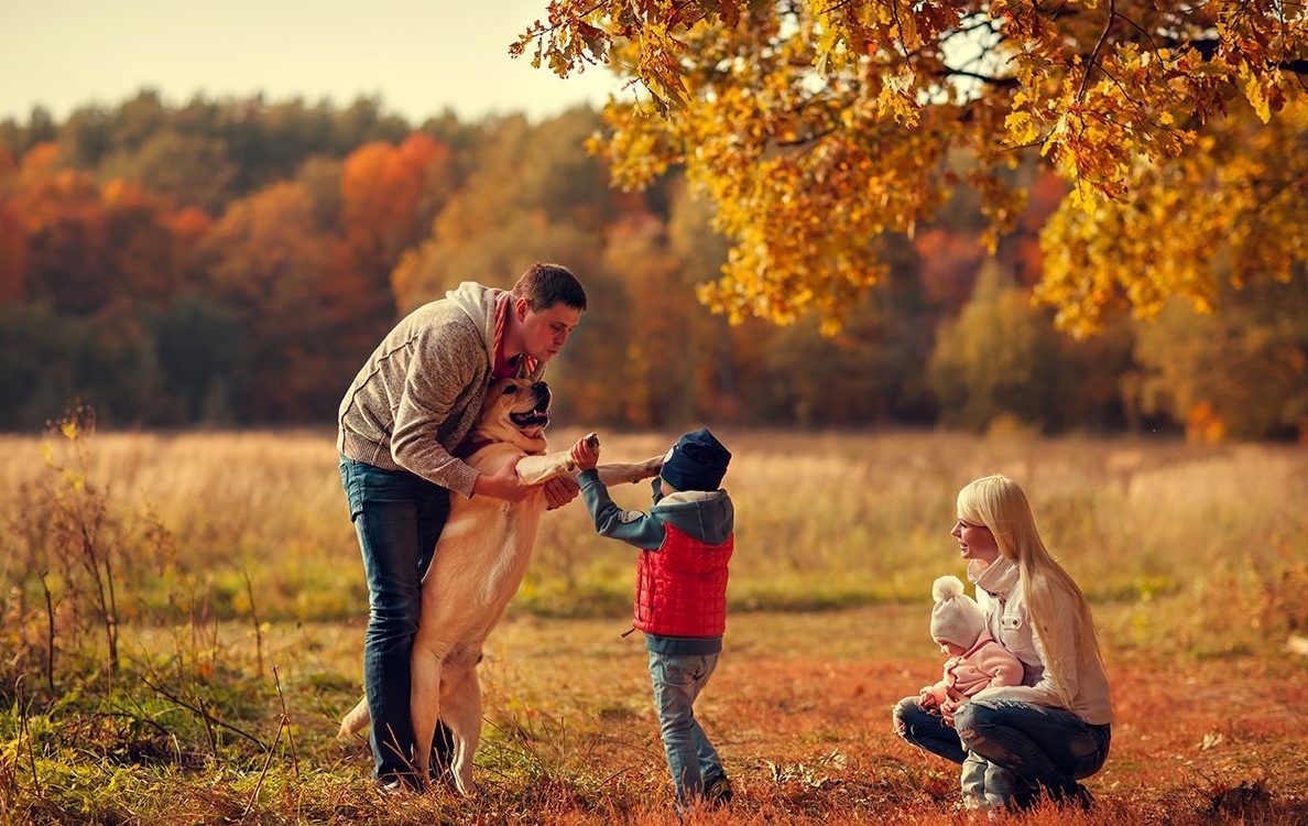 Праздник 5 октября: что нельзя делать с рыбой в день пророка Ионы, чтобы не заболеть