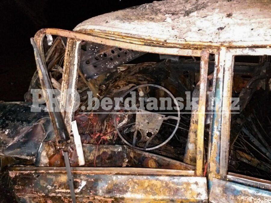 Моторошна ДТП у Запорізькій області: водій не зміг вибратися з палаючої машини (фото)