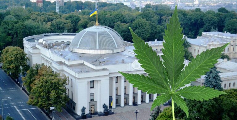 У Раді лежать три законопроекти щодо легалізації канабісу: за який проголосуют нардепи - today.ua