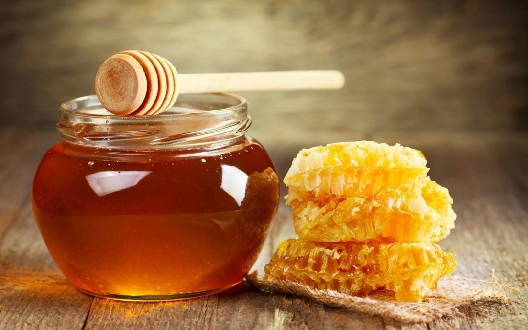 В Украине массово вымирают пчелы: цены на мед будут расти